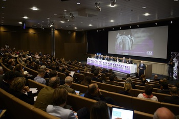 Olympic format debate serves as reality check for equestrian sport Olympic format debate serves as reality check for equestrian sport